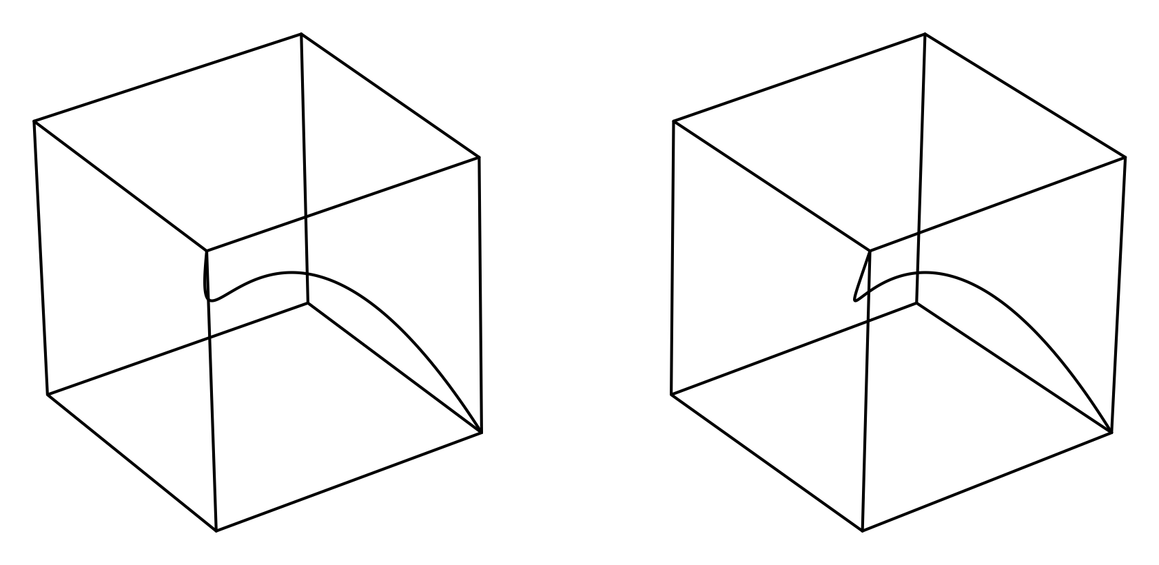 a stereo pair
  allowing a three-dimensional view of the twisted cubic